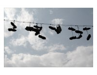 За тези, които са тръгнали без компас; Коментари:8