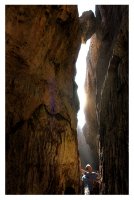 без име ( ID=929603 ); Коментари:5