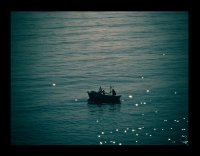 Заливът на смокините...; Коментари:10