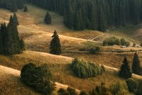 Родопи; Коментари:27