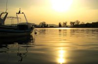 без име ( ID=939979 ); Коментари:2