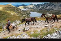 Езерен Керван; Коментари:6