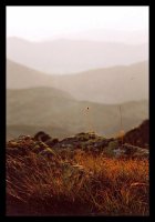 По изгрев; Коментари:6