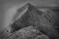 без име ( ID=941206 ); Коментари:30