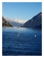 Poled nad ezeroto na Lugano; Коментари:4