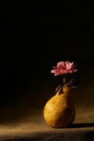 no name ( ID=1068272 ); comments:7