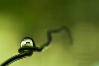 no name ( ID=1068274 ); comments:20