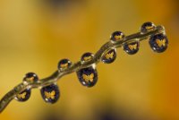 no name ( ID=1068273 ); comments:3