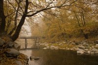 no name ( ID=1068324 ); comments:6