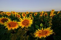 no name ( ID=1068325 ); comments:4