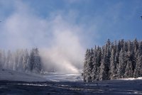 no name ( ID=1068328 ); comments:4