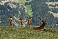 no name ( ID=1068336 ); comments:35