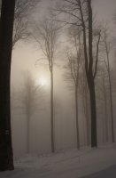 no name ( ID=1068338 ); comments:5