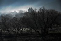 no name ( ID=1068342 ); comments:10