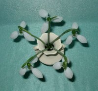 no name ( ID=1445681 ); comments:1