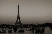 Paris Nights...; Коментари:1