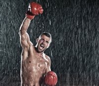 The Boxer; comments:16