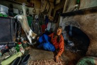 Баба Ивана и неуловимият й котарак; comments:18