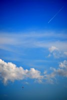 като птиците; comments:9