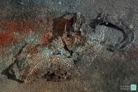 Dragon Heart; Коментари:11