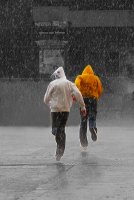 Vanishing; comments:1