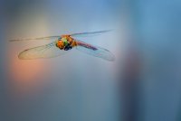 Фрррр; comments:27