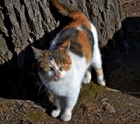 Малко съм се поизцапал от гонене на мишки :); comments:4