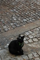 Петък, 13-и; comments:7