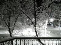 no name ( ID=2039709 ); No comments