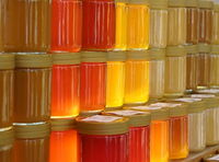 без име ( ID=2039710 ); Коментари:1