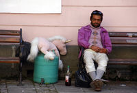 Розово в еднорози ...; Коментари:5