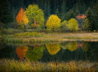 Илюзия; Коментари:31