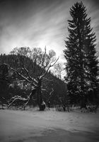 Дългата и широкият; Коментари:1