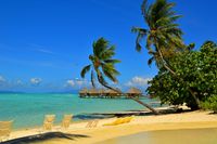 Полинезийско настроение...; Коментари:5