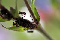 no name ( ID=2235413 ); comments:1