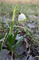 no name ( ID=2279097 ); comments:3