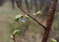 no name ( ID=2289470 ); comments:3