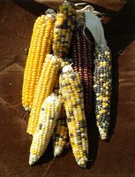 no name ( ID=2295337 ); No comments