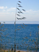 no name ( ID=2299198 ); comments:3