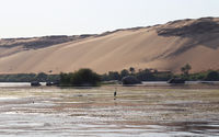 Дюни и житов покрай коритото на река Нил; comments:3