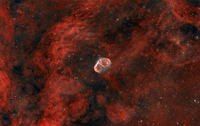 NGC 6888 - Мъглявината Полумесец на фона на огромния регион от водород - част от мъглявината Gamma Cygni; Коментари:12