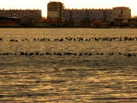 no name ( ID=2400656 ); No comments