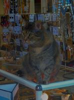 no name ( ID=2401659 ); No comments