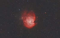 NGC 2174 - Monkey Head Nebula или една весела маймунка в космоса; Коментари:6