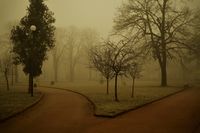 Мъглива сутрин; comments:7