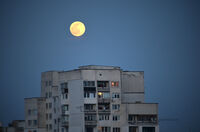 Пълнолуние в града; Коментари:4