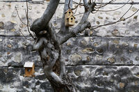 Роженски манастир: Обител в Обителта; Коментари:4