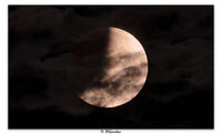 Partial lunar eclipse 2022; comments:2
