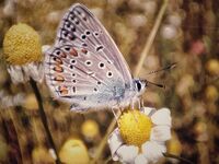 no name ( ID=2419417 ); comments:3