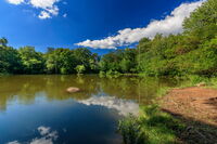 Боянското езеро, през късната пролет!; comments:3